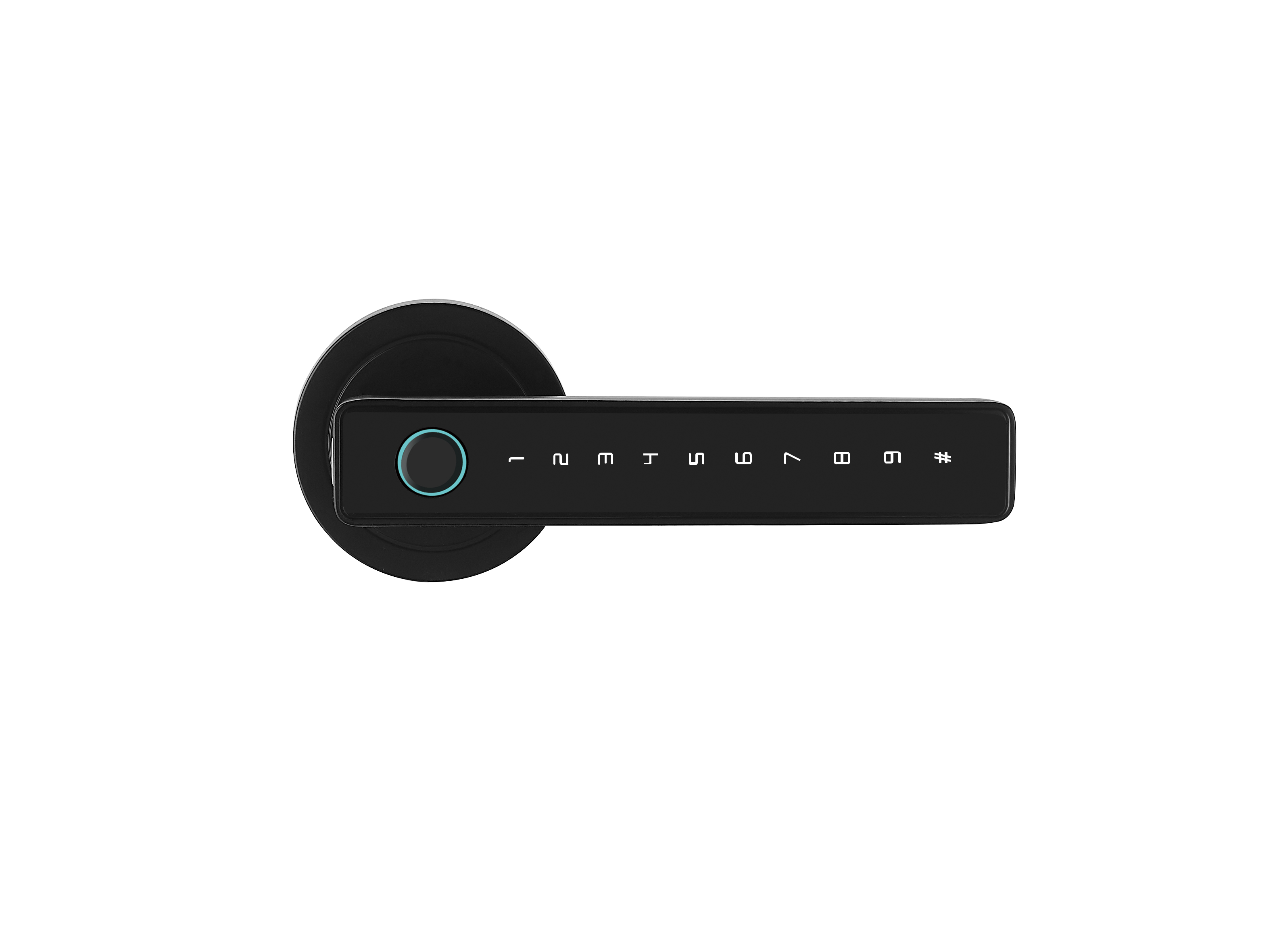 PEL61TB